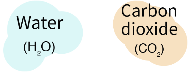 
Water / carbon dioxide