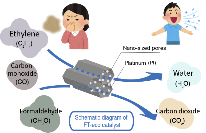 Schematic diagram of FT-eco catalyst