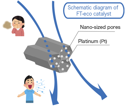 Schematic diagram of FT-eco catalyst