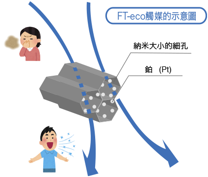 FT-eco觸媒的示意圖