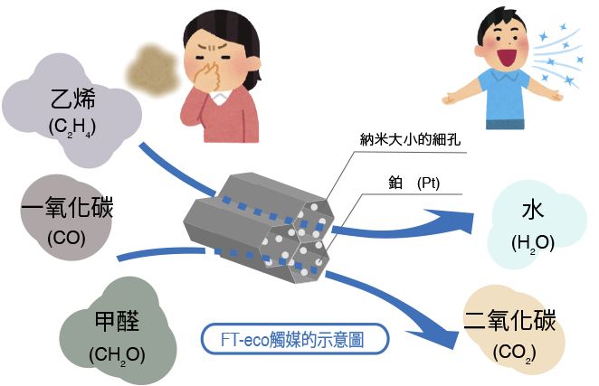 FT-eco觸媒的示意圖